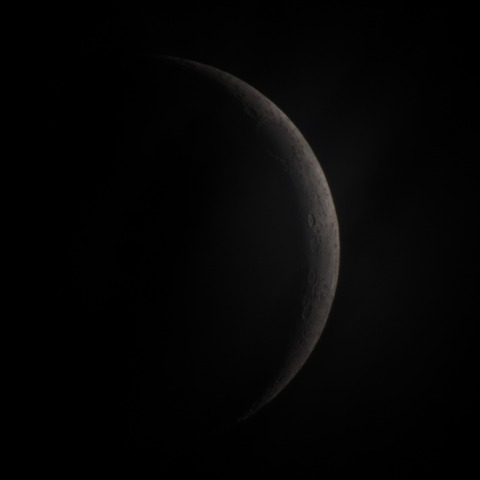 月齢3.3　　230621