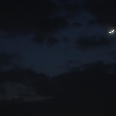 月と金星　230720