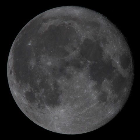 月齢15.9 　  230802