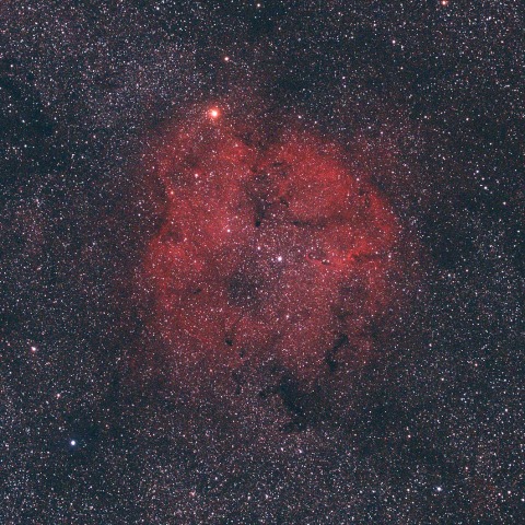 IC1396　230819