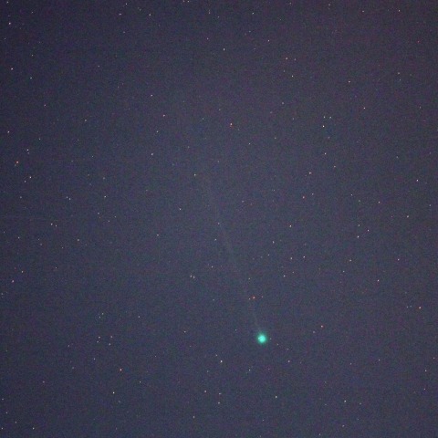 西村彗星（C/2023P1)   230902