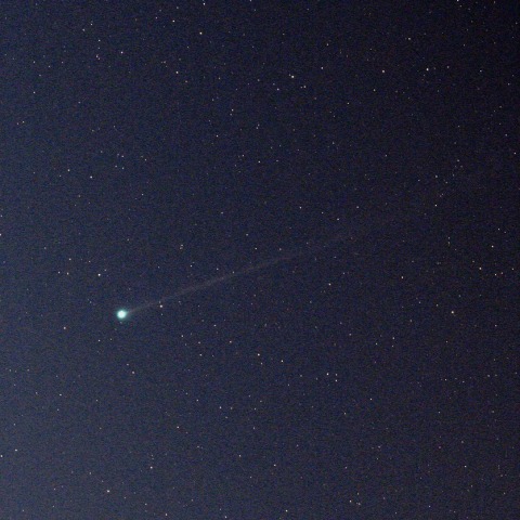 疾走する彗星　   230902