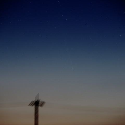 夜明けの帚星　   230910