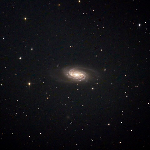 NGC2903