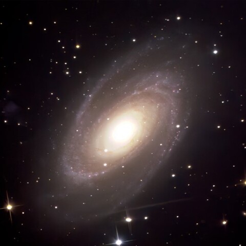 M81