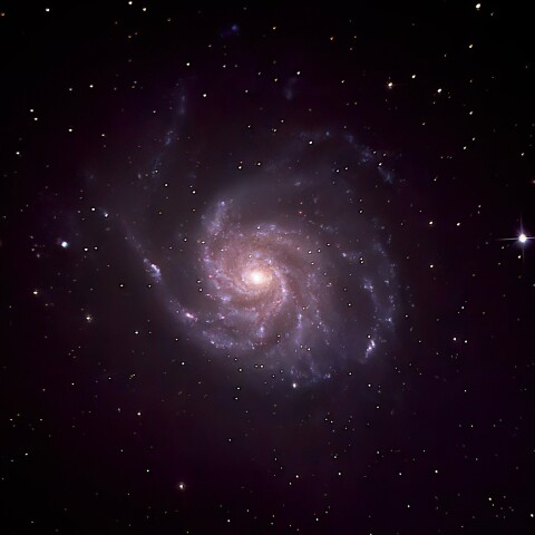 M101