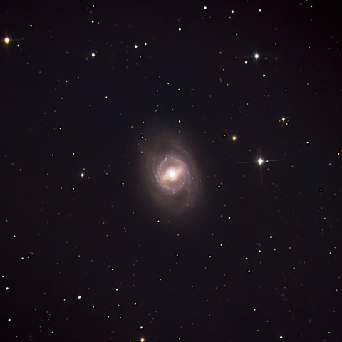 M95