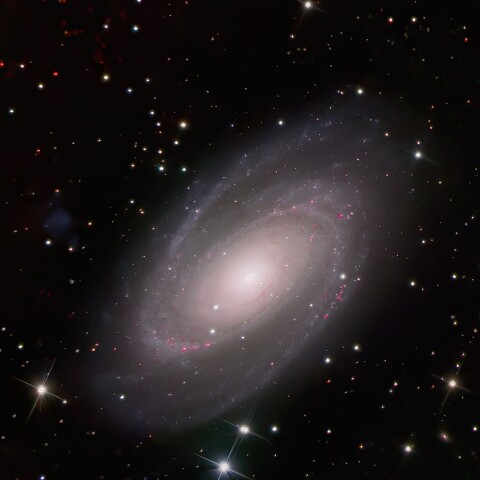 M81