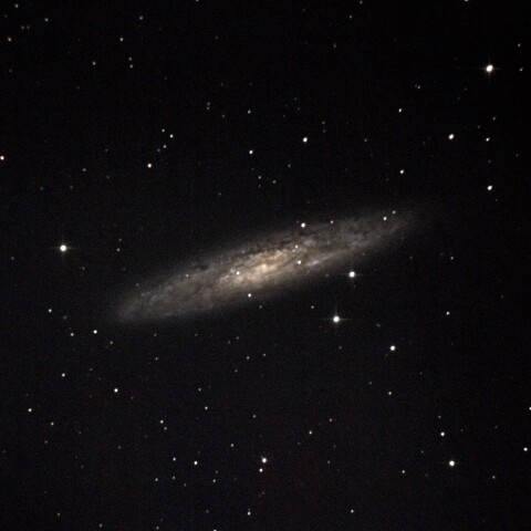 NGC253