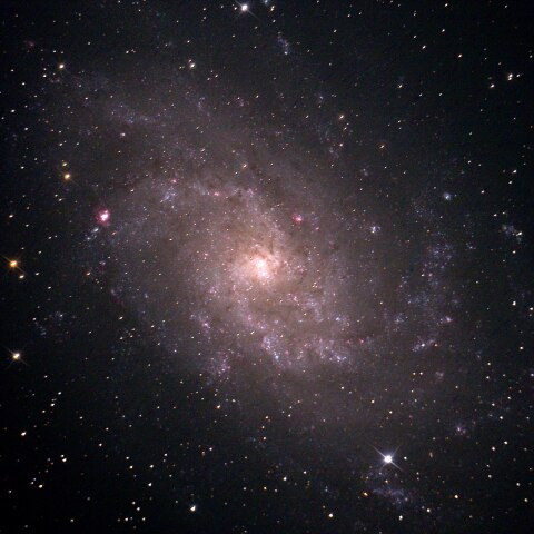 M33
