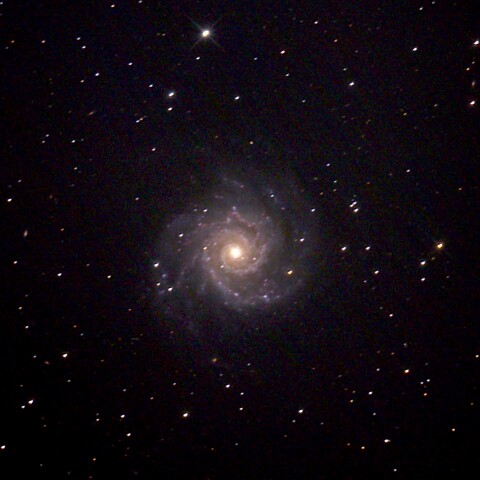 M74