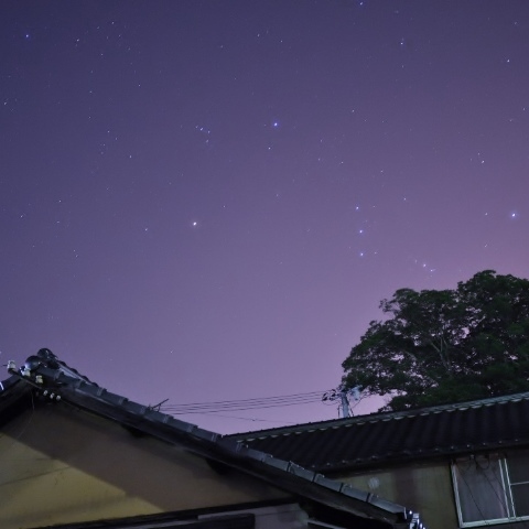昇り行くオリオン座とトトロの住む木