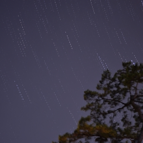 空を見れば・・・・