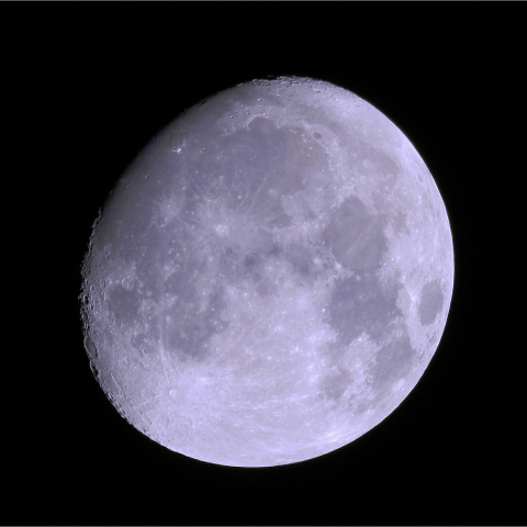 後の月（十三夜）