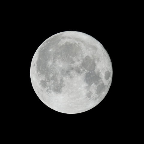 11月4日の満月（月齢15.8）