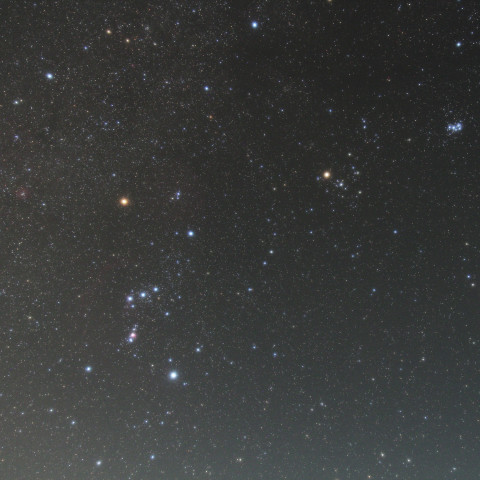 オリオンと対峙する牡牛