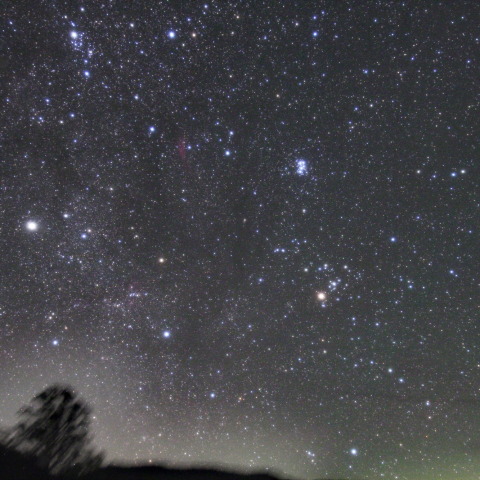 昇り始めた冬の星々