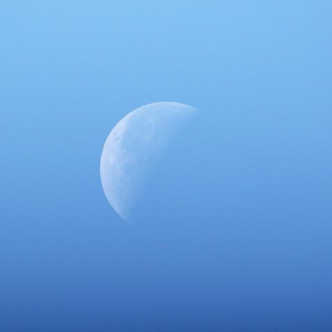 白昼の月（月齢22.7）