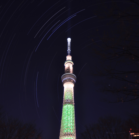 シャンパンツリー