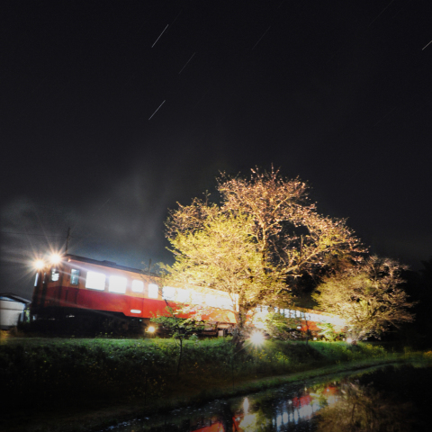 ローカル線が行く