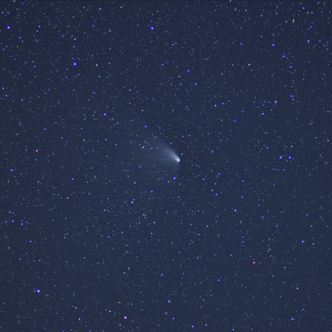 パンスターズ彗星