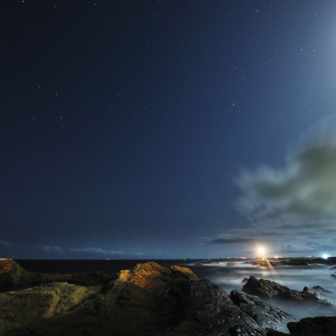 荒波に揉まれて