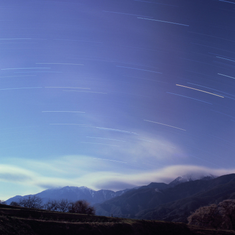 桜・山・さそり