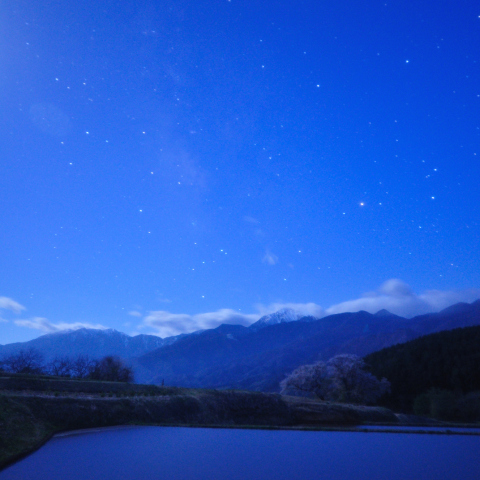 ブルーモーメント