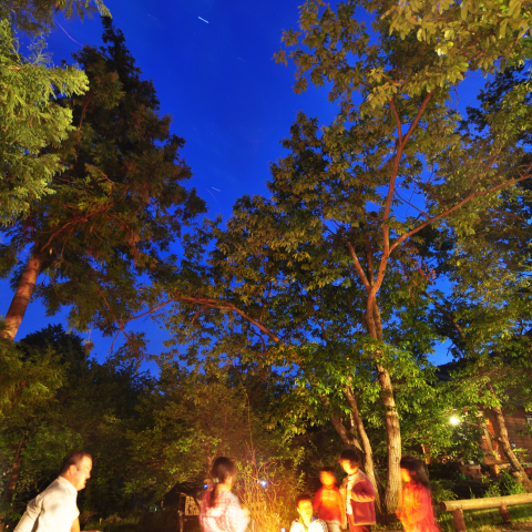 こどもと焚き火と星空と