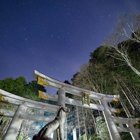 三峯神社の三ツ鳥居と北斗七星