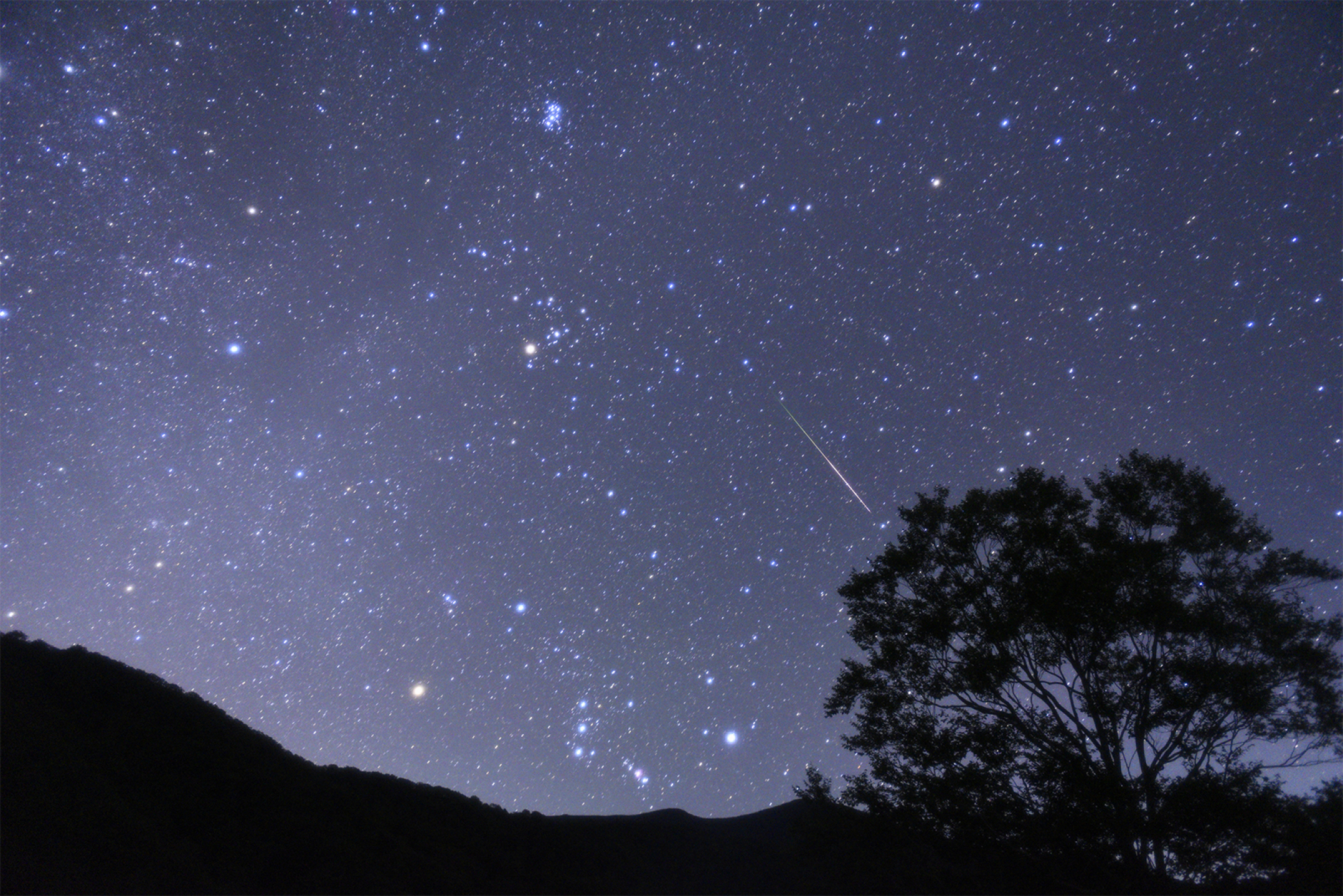 冬の星座と流れ星 By Mossch 天体写真ギャラリー