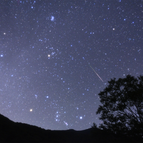 冬の星座と流れ星