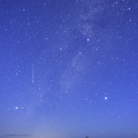 薄明の大三角と流れ星