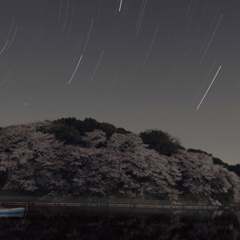 春から夏へ　縦バージョン