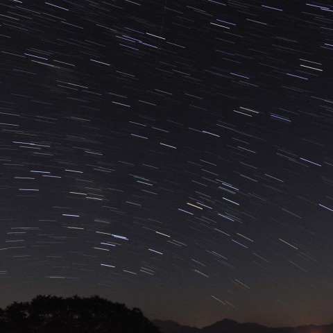 南の夏星座たち