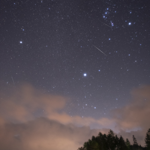 キャンプをしながら