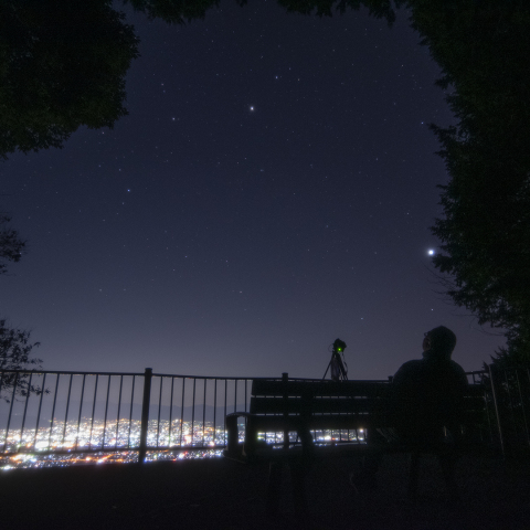 流れ星を楽しむ