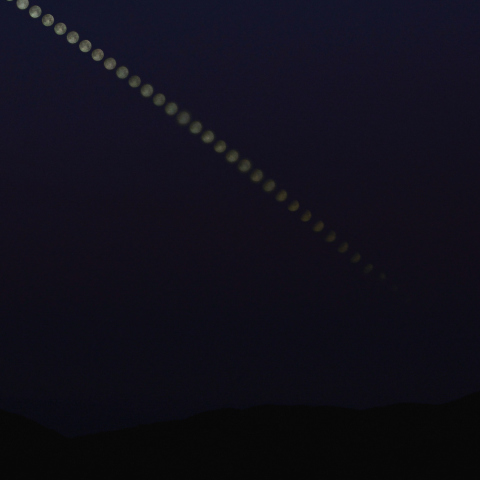 月没帯食（拡大）