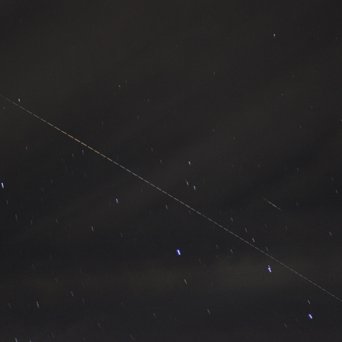 明るく写った『だいち』