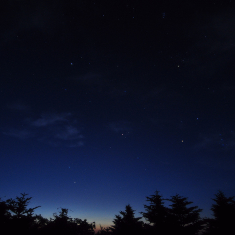 冬の星座たちが昇ってきたよ