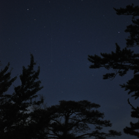 だいちとこぐま座