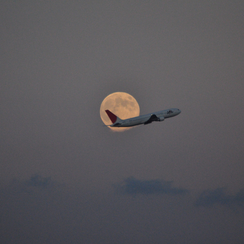 中秋の名月に飛ぶ