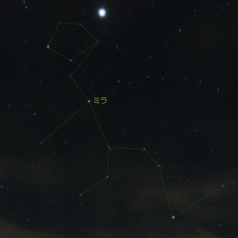 増光中のくじら座ミラ