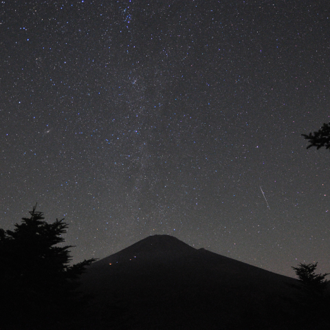 りゅう座流星群