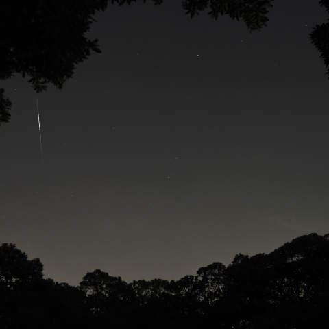 緑の窓から見るイリジウムフレア