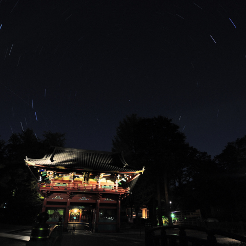 北斗七星とカシオペアと根津神社と