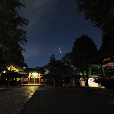 イリジウムフレアと根津神社