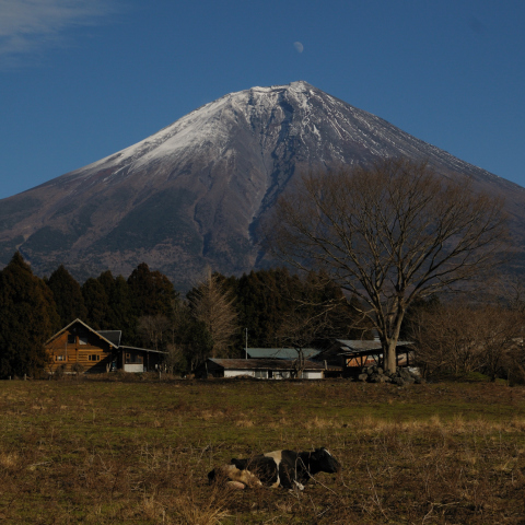 富士山頂に月が昇る１