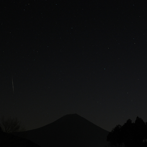 しぶんぎ座流星群３
