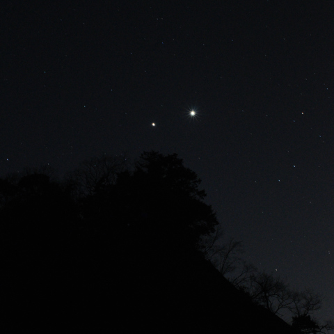 木星と金星と木の陰影と